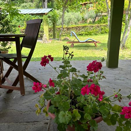 Casa Verde Country House 몬테스쿠다이오 외부 사진