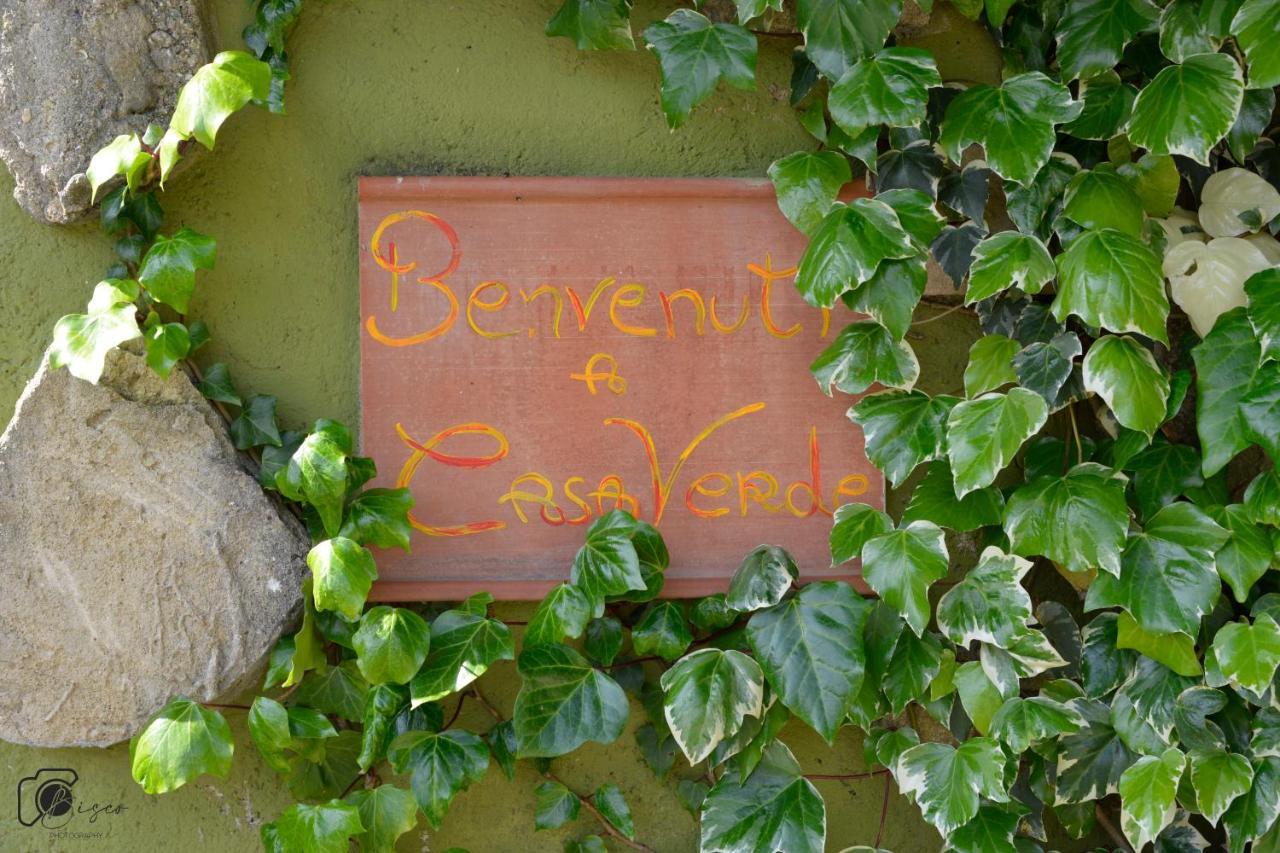 Casa Verde Country House 몬테스쿠다이오 외부 사진