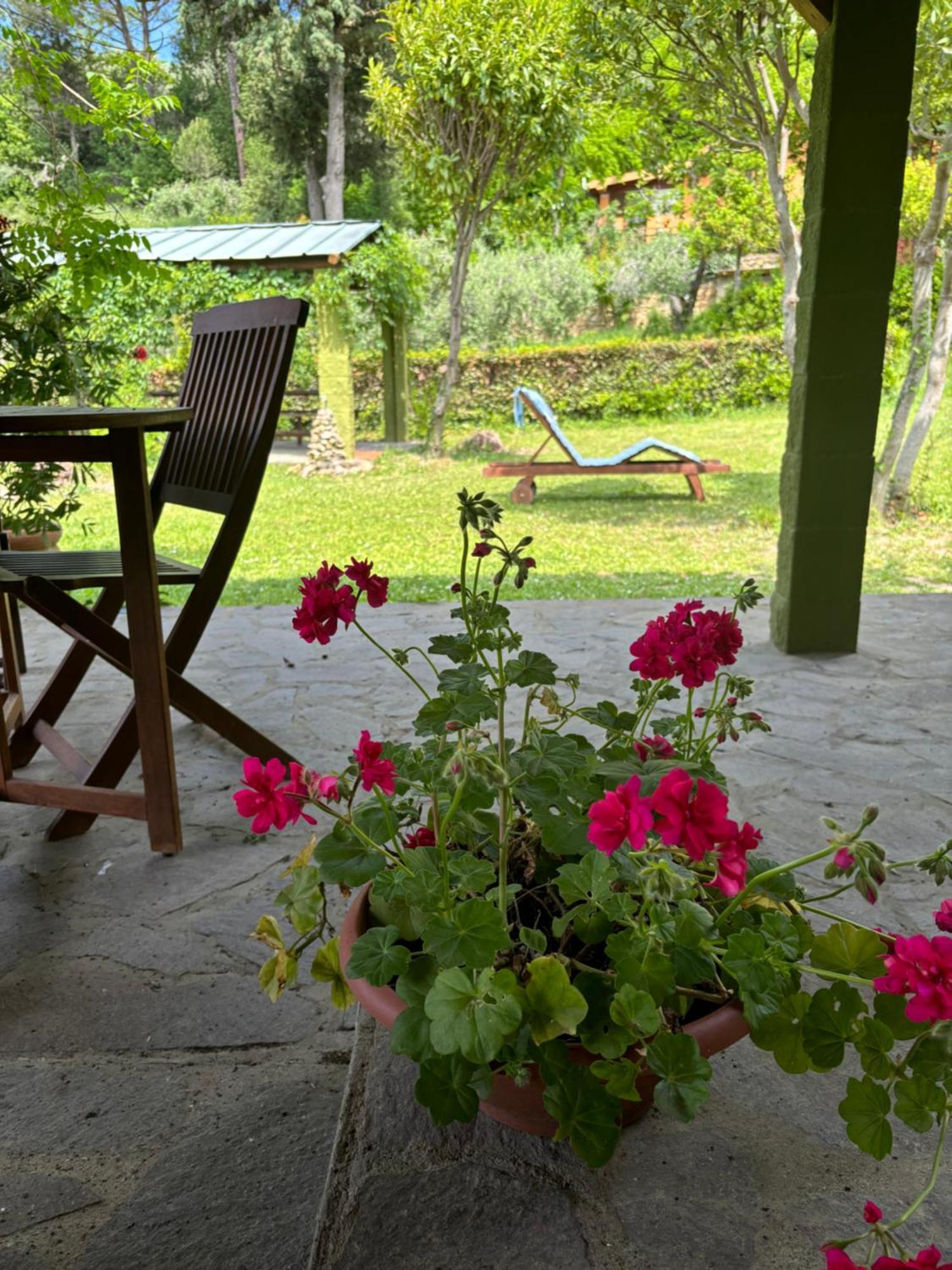 Casa Verde Country House 몬테스쿠다이오 외부 사진